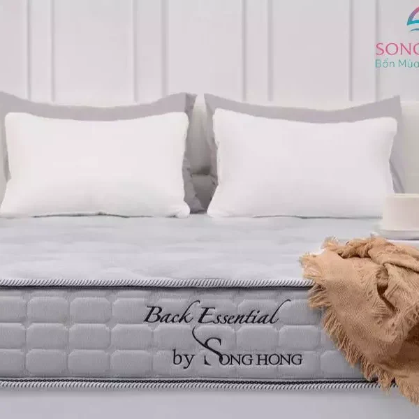 đệm sông hồng back essential cao cấp tại changagoidemsonghong.net