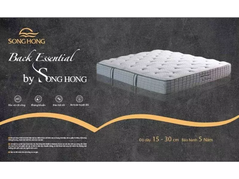 đệm sông hồng back essential cao cấp tại changagoidemsonghong.net