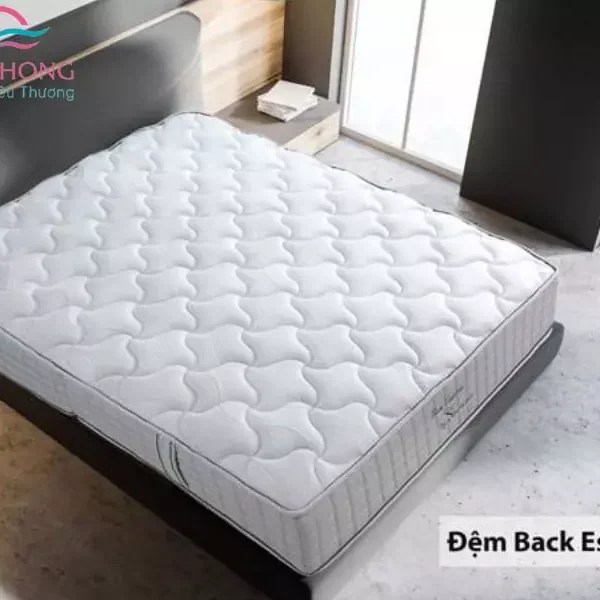 đệm sông hồng back essential chính hãng tại changagoidemsonghong.net