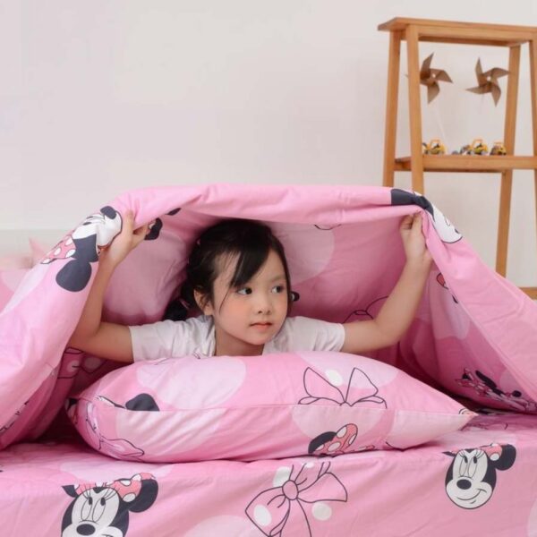 Bộ chăn ga gối Sông Hồng trẻ em YC22012