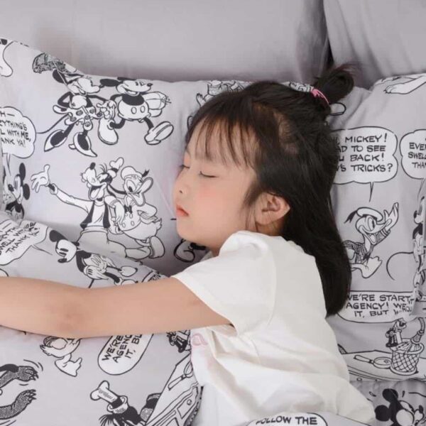 Bộ chăn ga gối Sông Hồng trẻ em YC22014