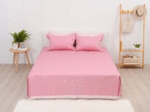 sông hồng giải đáp với khách hàng phần 1