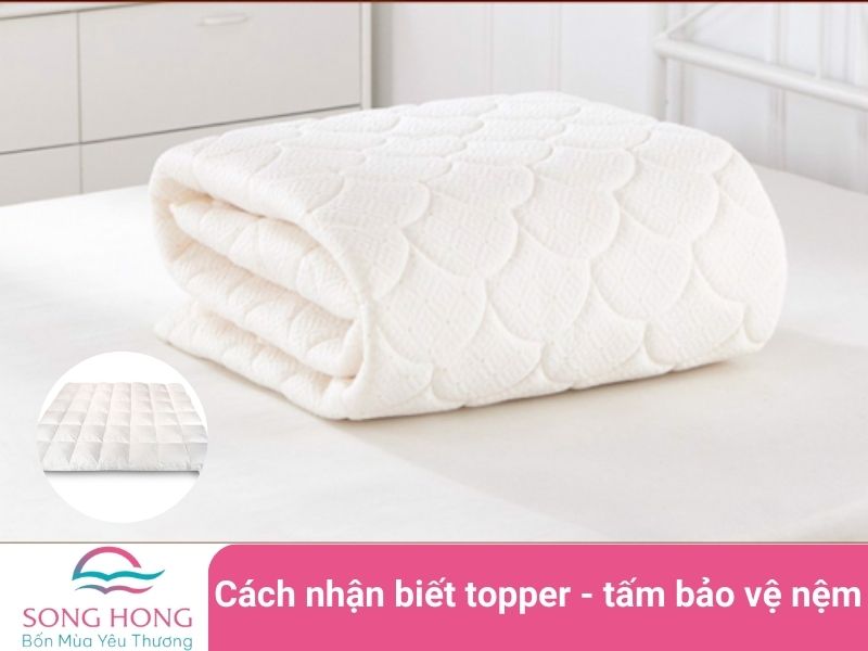 cách nhận biết topper và tấm bảo vệ nệm