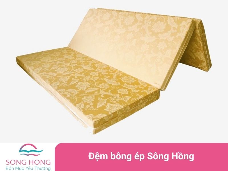 đệm bông ép sông hồng