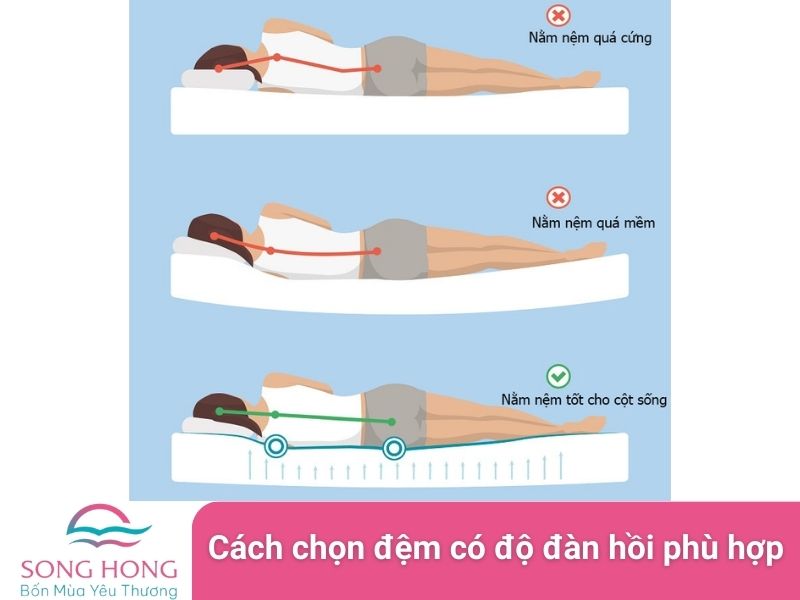 cách chọn đệm có độ đàn hồi phù hợp