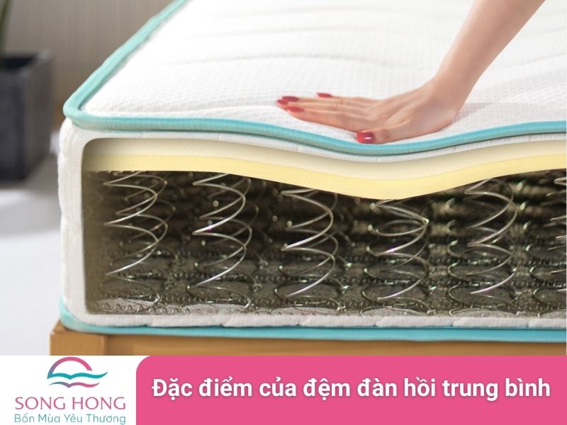 đặc điểm của đệm đàn hồi trung bình