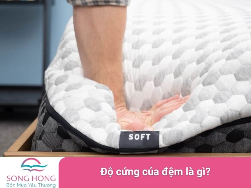 độ cứng của đệm là gì