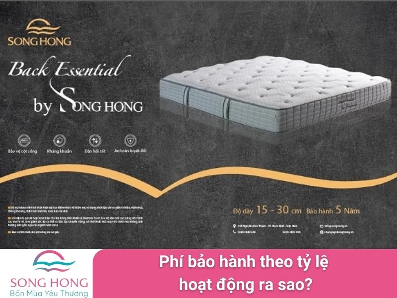 phí bảo hành theo tỷ lệ hoạt động ra sao