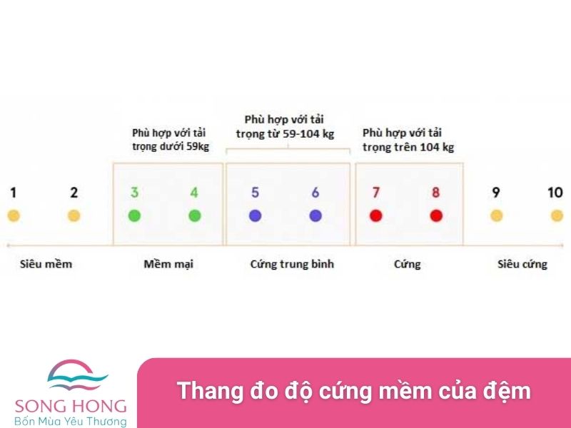 thang đo độ cứng mềm của đệm
