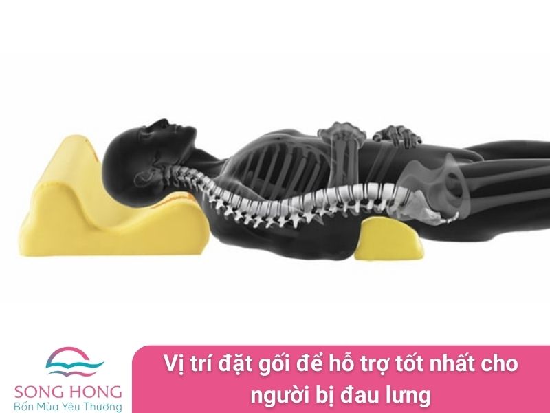 vị trí đặt gối để hỗ trợ tốt nhất cho người bị đau lưng