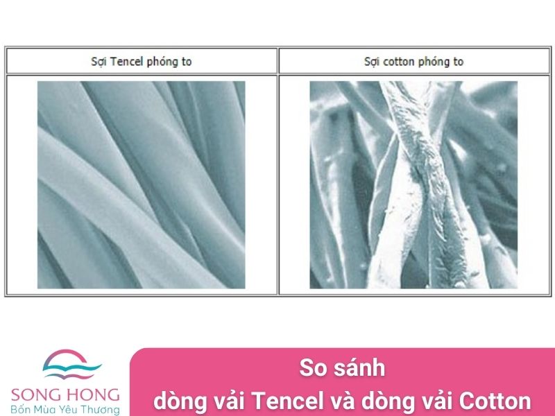 so sánh dòng vải tencel và dòng vải cotton