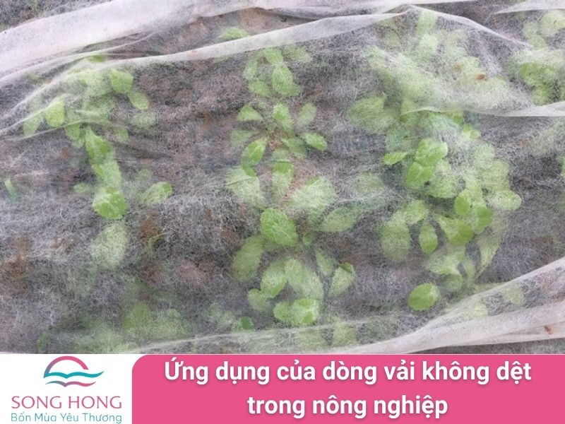 ứng dụng của dòng vải không dệt trong nông nghiệp